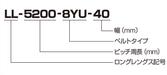 ベルト呼称例