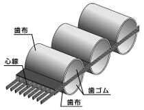 ベルト構造